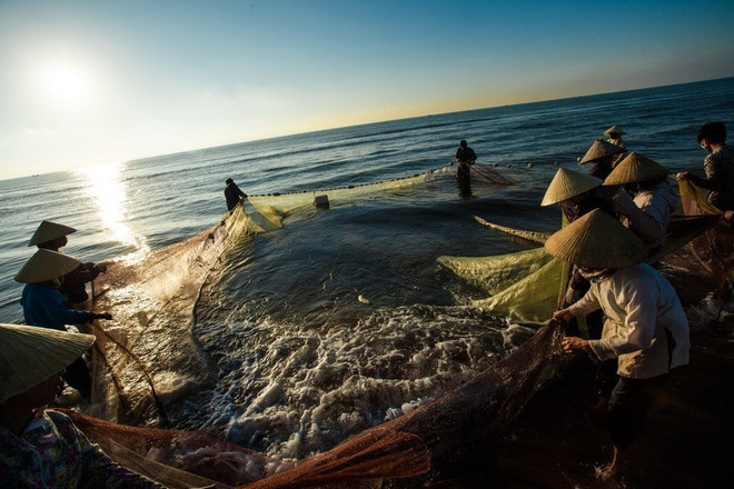 越南力争建立融入国际社会、可持续发展的水产业 ảnh 1