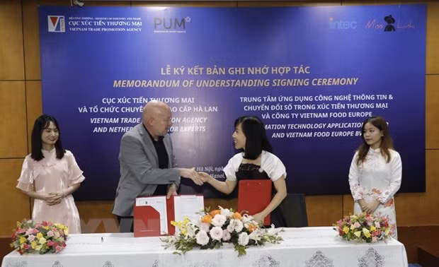 越南与荷兰促进电子商务合作 ảnh 1