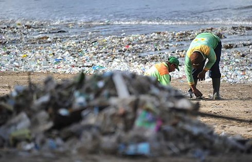 印尼和美国加强环保合作 ảnh 1 印尼和美国加强环保合作 ảnh 1