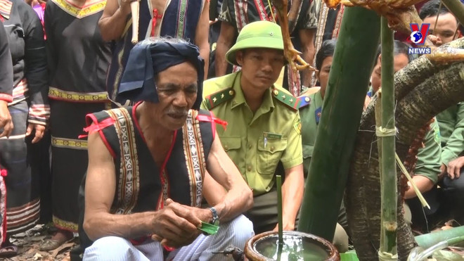 嘉莱族人勠力同心共护森林安全 筑牢绿色森林屏障 ảnh 1 嘉莱族人勠力同心共护森林安全 筑牢绿色森林屏障 ảnh 1