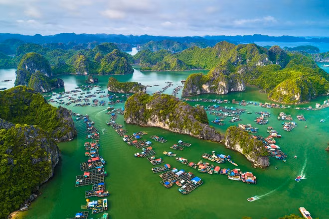 发挥跨区域遗产的优势 ảnh 1