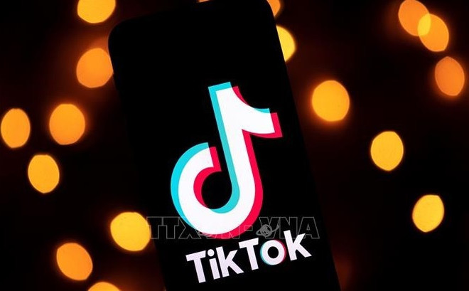 越南信息传媒部:继续实行手机卡实名制 处理Tiktok的违法违规行为 ảnh 2 越南信息传媒部:继续实行手机卡实名制 处理Tiktok的违法违规行为 ảnh 2