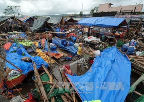 台风“洛坦”袭击菲律宾造成至少3人死亡 ảnh 1