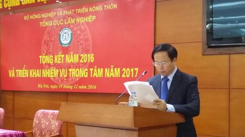 2017年越南森林覆盖率将增至41.25% ảnh 1