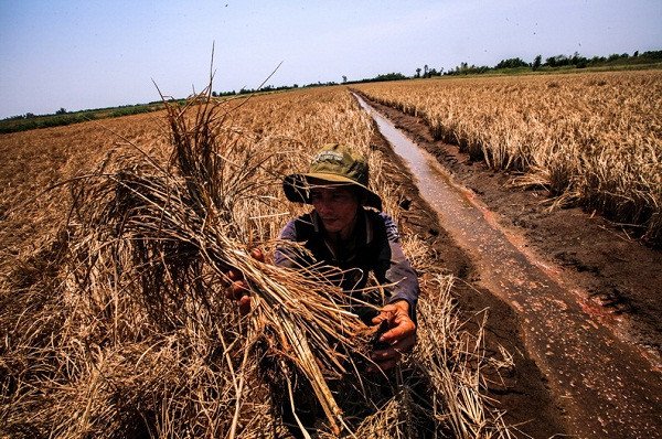 越通社评出2016年国内十大新闻 ảnh 7 越通社评出2016年国内十大新闻 ảnh 7