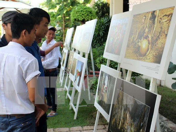 通过2016年遗产行程摄影展推介越南形象 ảnh 1