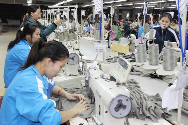 TPP:越南女企业家和女劳动者的机会与挑战 ảnh 1 TPP:越南女企业家和女劳动者的机会与挑战 ảnh 1