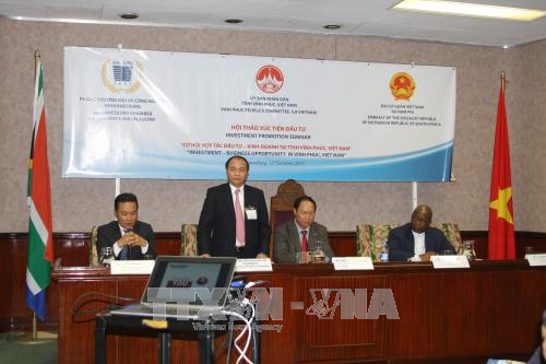 越南与南非促进投资合作 ảnh 1