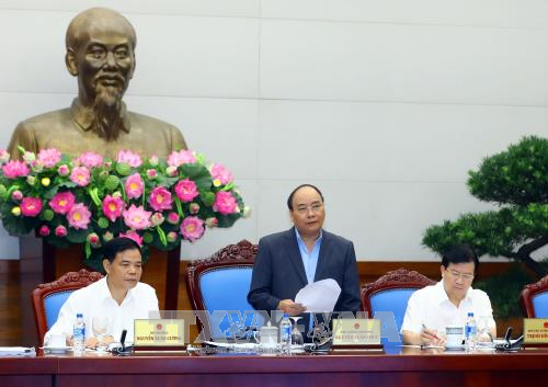 越南政府总理阮春福: 对非法砍伐森林相关责任人员进行责任追究 ảnh 1 越南政府总理阮春福: 对非法砍伐森林相关责任人员进行责任追究 ảnh 1