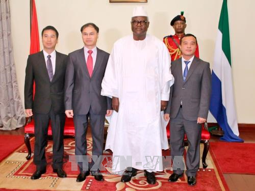 越南与塞拉利昂加强多方面合作 ảnh 2 越南与塞拉利昂加强多方面合作 ảnh 2