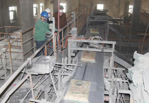 越南建材市场保持稳定 ảnh 1 越南建材市场保持稳定 ảnh 1