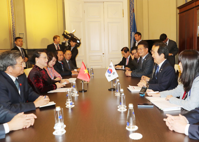 越南国会主席阮氏金银会见韩国国会议长丁世均 ảnh 2 越南国会主席阮氏金银会见韩国国会议长丁世均 ảnh 2
