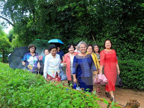 越南国会副主席汪周刘会见旅泰越南老教师代表团 ảnh 1 越南国会副主席汪周刘会见旅泰越南老教师代表团 ảnh 1