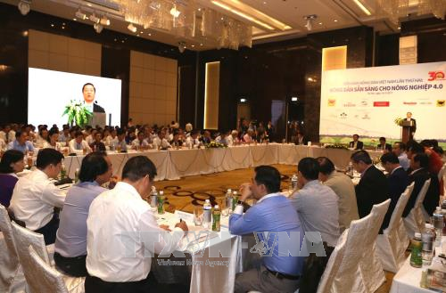 越南政府副总理王廷惠:农民决定越南未来农业面貌 ảnh 2 越南政府副总理王廷惠:农民决定越南未来农业面貌 ảnh 2