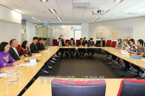 越共中央民运部长张氏梅:澳大利亚在越南对外政策中扮演着举足轻重的角色 ảnh 2 越共中央民运部长张氏梅:澳大利亚在越南对外政策中扮演着举足轻重的角色 ảnh 2