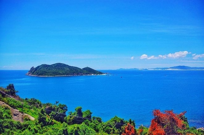  日本最大低价旅行社拟对庆和省金兰进行投资 ảnh 1