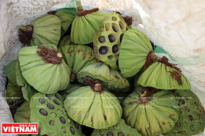 莲子糖水——河内美食精华 ảnh 3