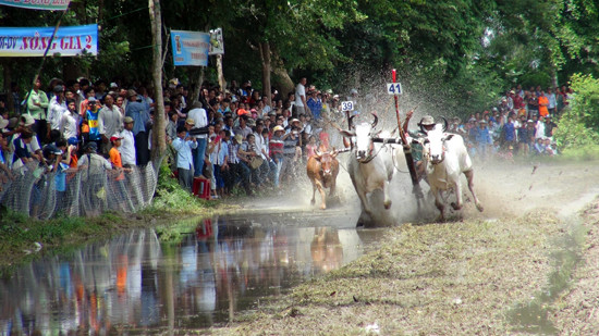 安江省促进旅游可持续发展 ảnh 1