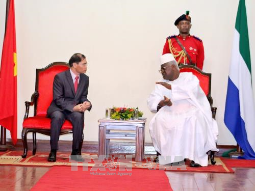 越南与塞拉利昂加强多方面合作 ảnh 1 越南与塞拉利昂加强多方面合作 ảnh 1