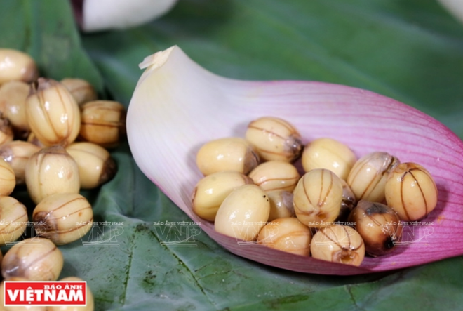 莲子糖水——河内美食精华 ảnh 4