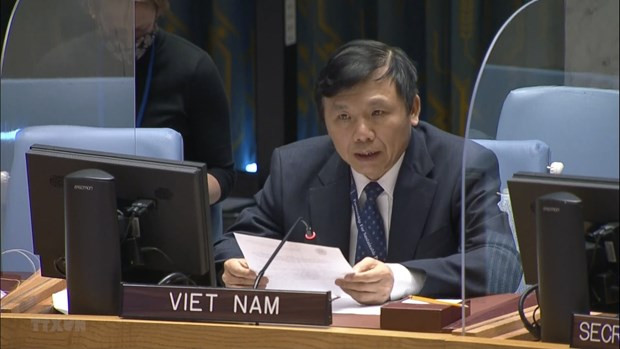 越南与联合国安理会:越南主持召开联合国安理会南苏丹问题委员会会议 ảnh 1 越南与联合国安理会:越南主持召开联合国安理会南苏丹问题委员会会议 ảnh 1