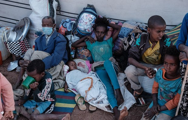 越南呼吁国际社会采取行动避免埃塞俄比亚陷入饥饿 ảnh 1 越南呼吁国际社会采取行动避免埃塞俄比亚陷入饥饿 ảnh 1