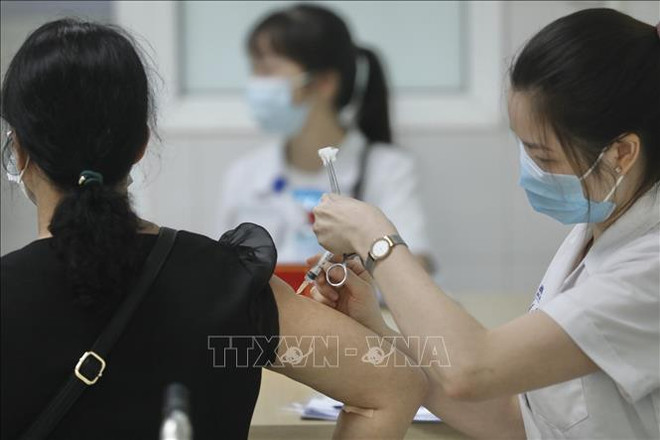 新冠肺炎疫情:旅居澳大利亚越南人为越南抗击疫情贡献力量 ảnh 1 新冠肺炎疫情:旅居澳大利亚越南人为越南抗击疫情贡献力量 ảnh 1
