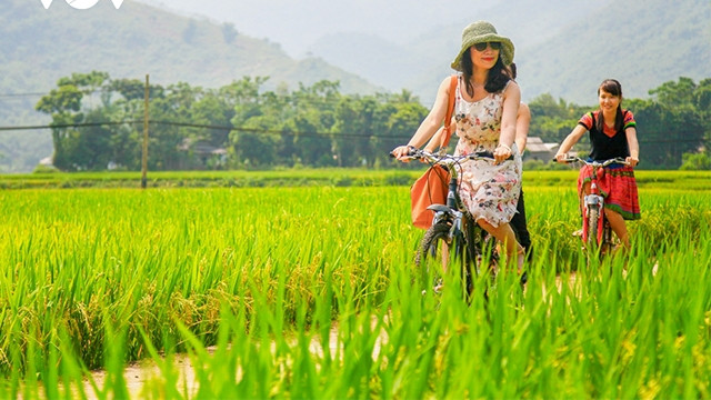 接种后旅游趋势:高消费、旅游时间长 ảnh 1 接种后旅游趋势:高消费、旅游时间长 ảnh 1
