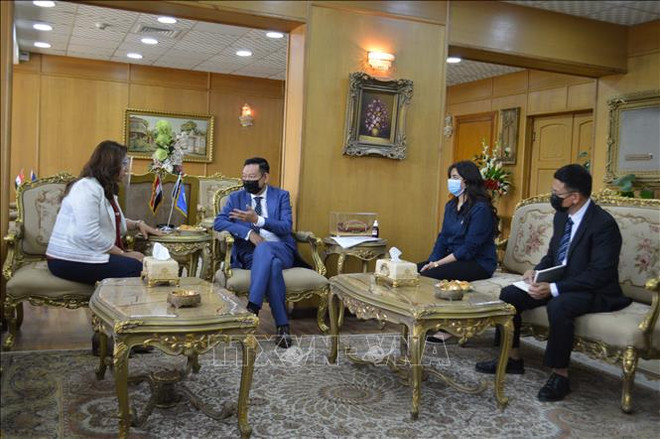 埃及多地愿与越南推进优势领域合作 ảnh 1 埃及多地愿与越南推进优势领域合作 ảnh 1