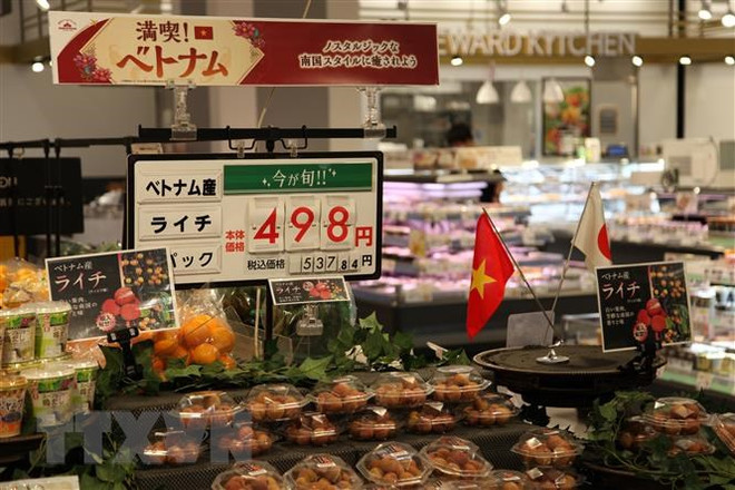 促进越南荔枝销往日本 ảnh 1 促进越南荔枝销往日本 ảnh 1