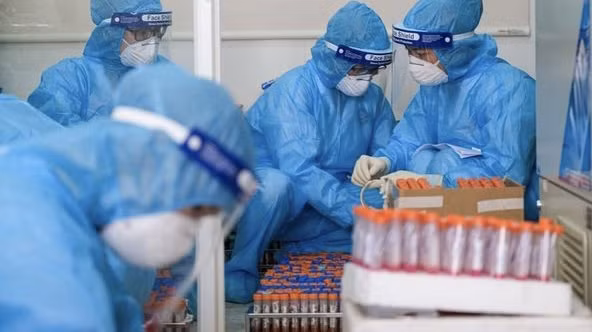 6月15日上午越南新增71例新冠肺炎确诊病例 ảnh 1