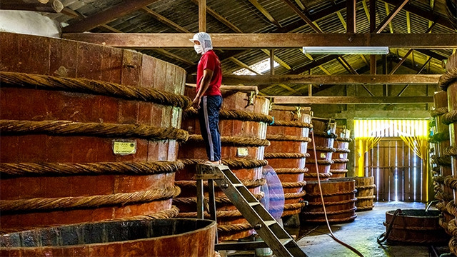 从大海中沉淀精华 ảnh 1 从大海中沉淀精华 ảnh 1