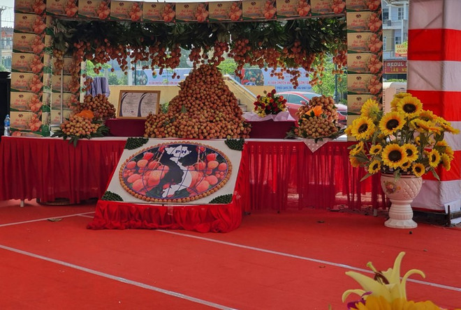 北江省新安早熟荔枝销往日本市场 ảnh 1 北江省新安早熟荔枝销往日本市场 ảnh 1