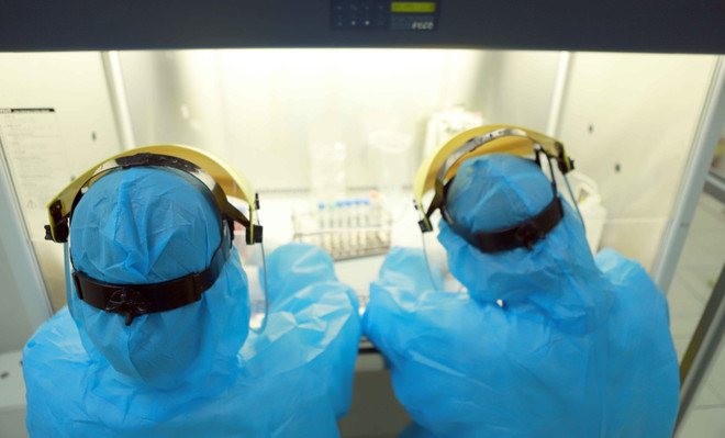 6月16日中午越南新增176例新冠肺炎确诊病例 ảnh 1 6月16日中午越南新增176例新冠肺炎确诊病例 ảnh 1