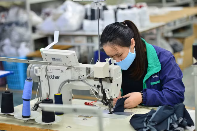 2020年越南个人防护用品产量翻六倍 ảnh 1