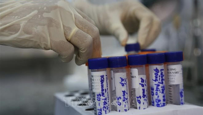 6月18日上午越南新增确诊病例81例 胡志明市60例 ảnh 1 6月18日上午越南新增确诊病例81例 胡志明市60例 ảnh 1