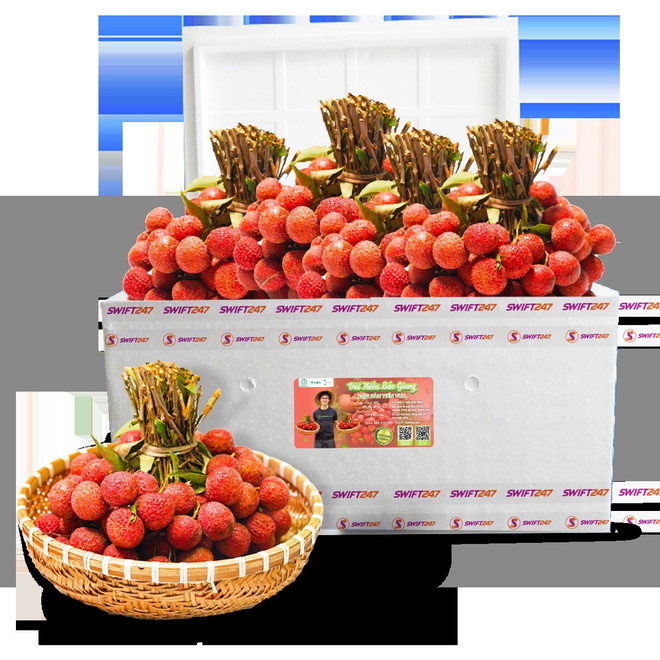越捷携手加大荔枝在国内外市场的出口与销售力度 ảnh 1 越捷携手加大荔枝在国内外市场的出口与销售力度 ảnh 1