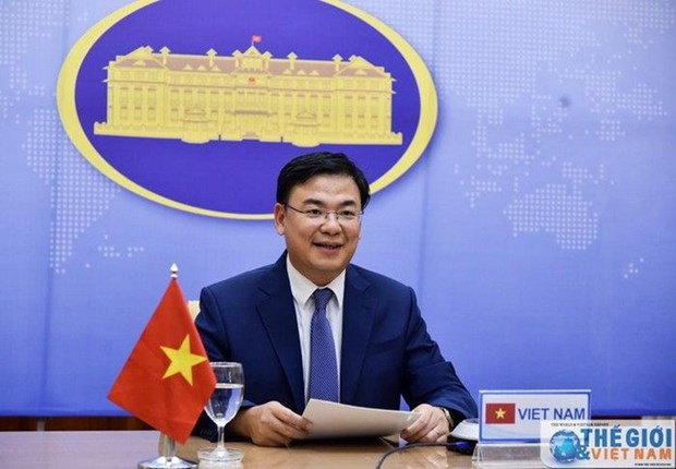 海外越南人支持国内新冠疫情防控工作 ảnh 1