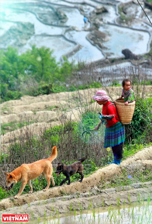 伊迪色彩 ảnh 16 伊迪色彩 ảnh 16