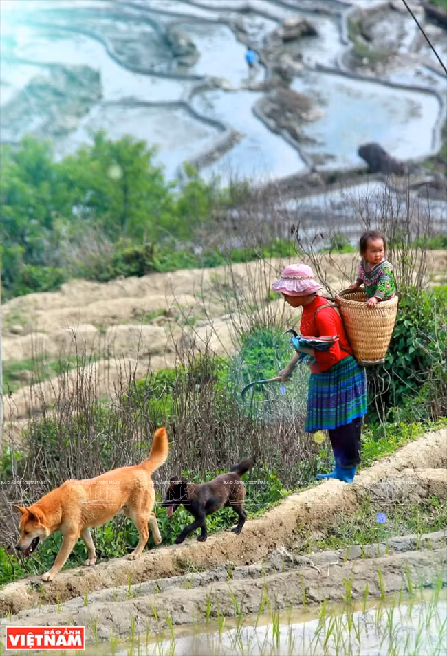 伊迪色彩 ảnh 16