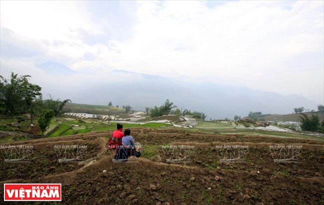 伊迪色彩 ảnh 3 伊迪色彩 ảnh 3