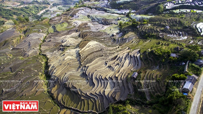 伊迪色彩 ảnh 2 伊迪色彩 ảnh 2