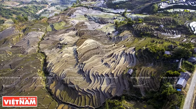 伊迪色彩 ảnh 2