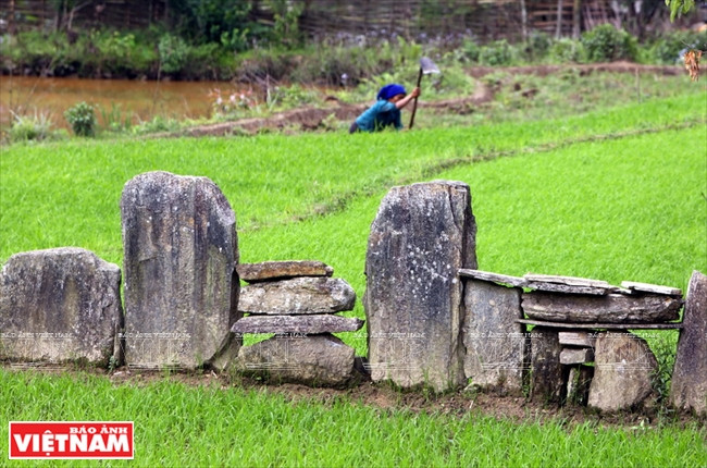 伊迪色彩 ảnh 11 伊迪色彩 ảnh 11