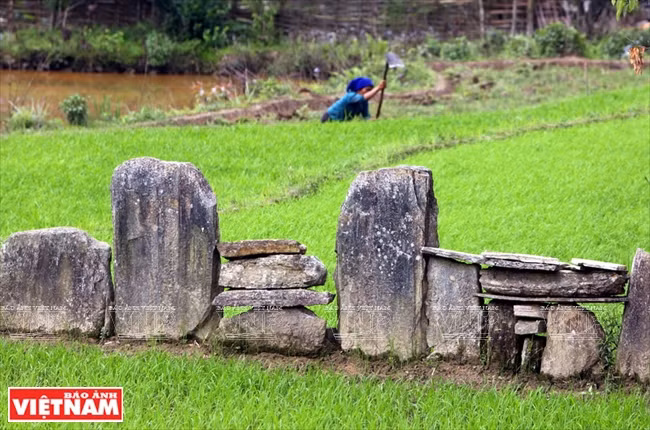 伊迪色彩 ảnh 11