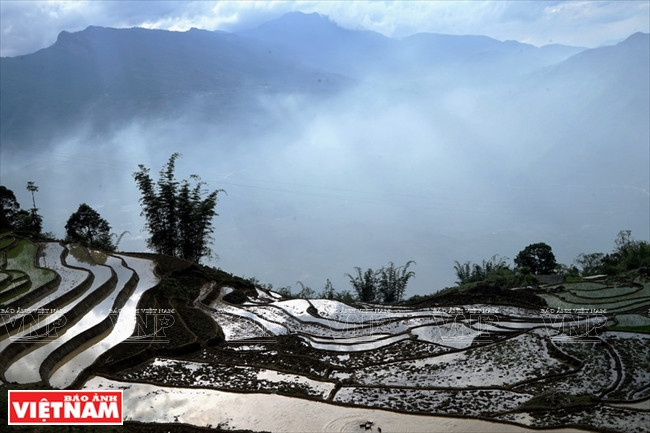 伊迪色彩 ảnh 1 伊迪色彩 ảnh 1