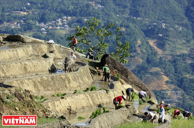 伊迪色彩 ảnh 12 伊迪色彩 ảnh 12