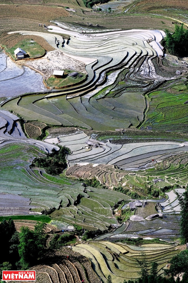 伊迪色彩 ảnh 5 伊迪色彩 ảnh 5