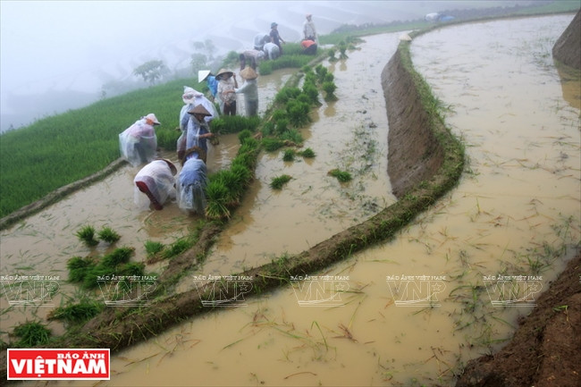 伊迪色彩 ảnh 14 伊迪色彩 ảnh 14