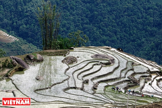 伊迪色彩 ảnh 13 伊迪色彩 ảnh 13